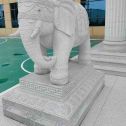 绵阳 白麻花岗岩动物异形石雕-大象