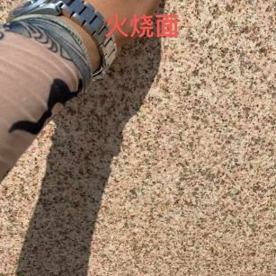 绵阳黄金麻火烧面