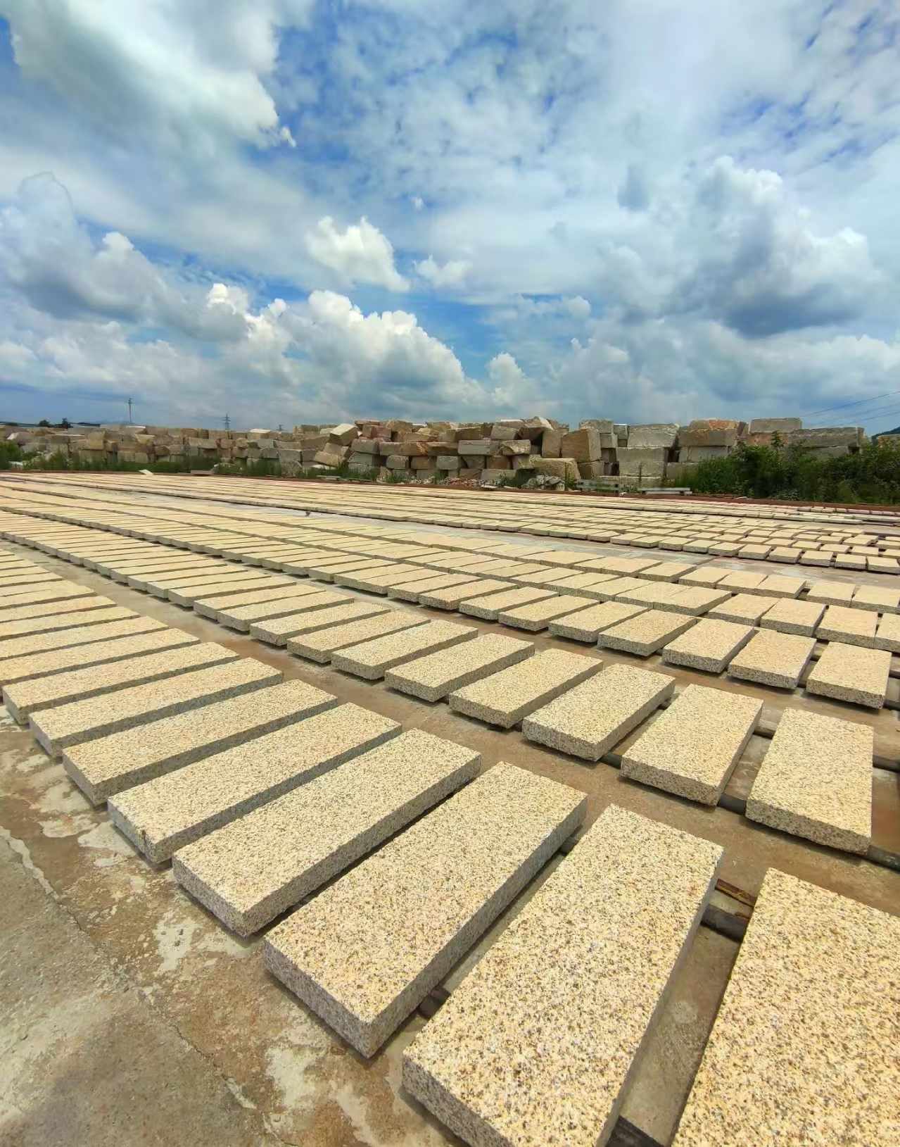 绵阳 黄金麻荔枝面花岗岩石材地铺石防护中