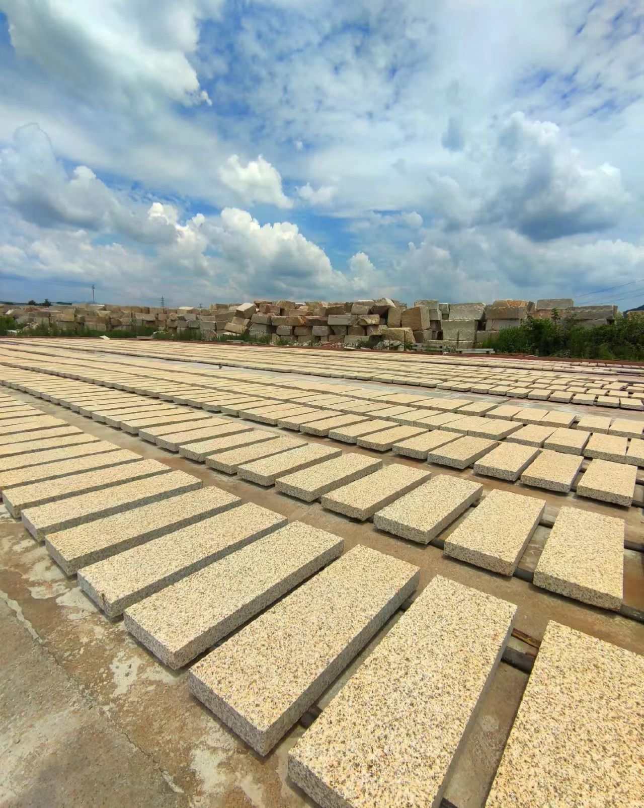 绵阳 黄金麻花岗岩荔枝面地铺石防护中