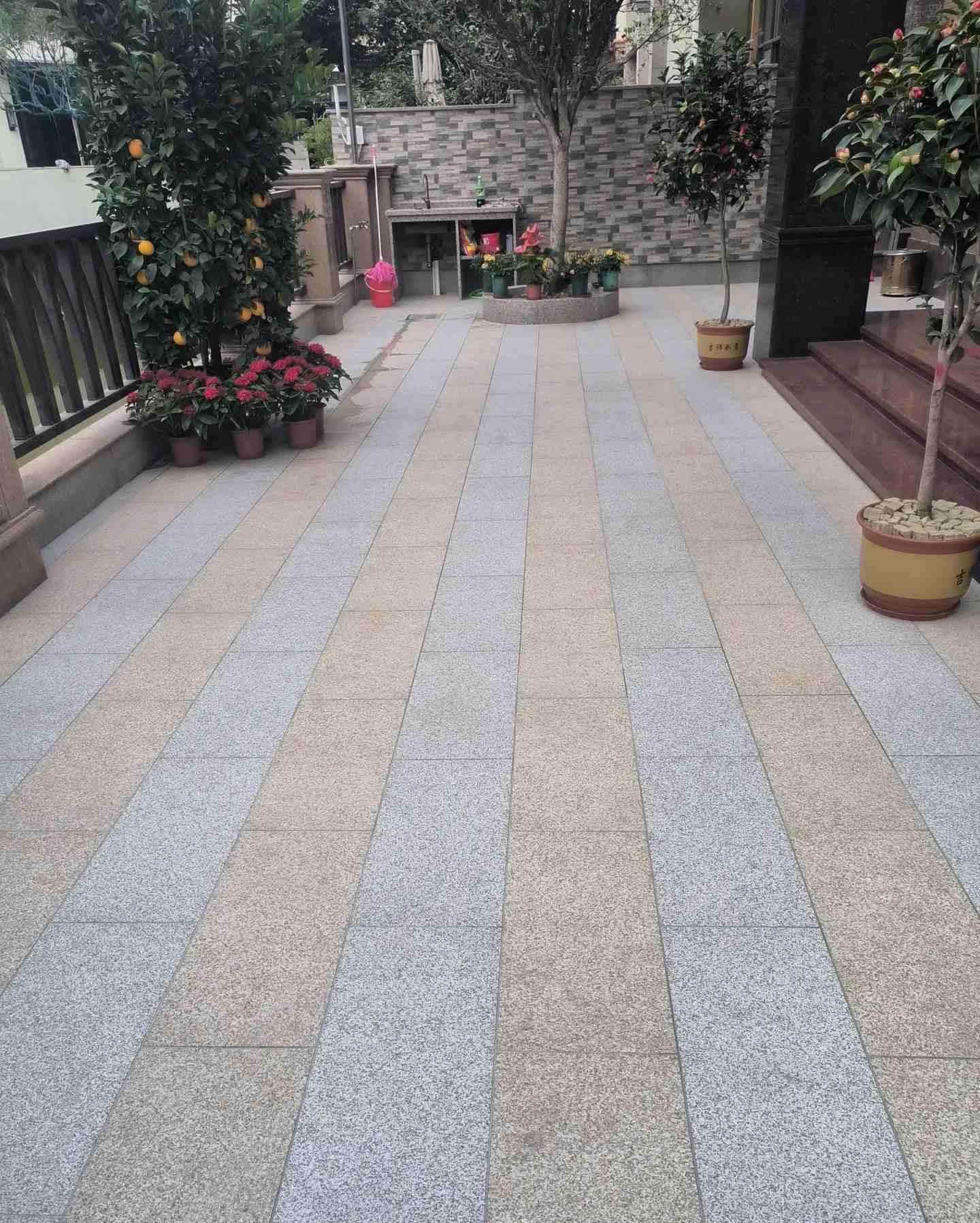 绵阳 黄金麻白麻荔枝面庭院铺装展示